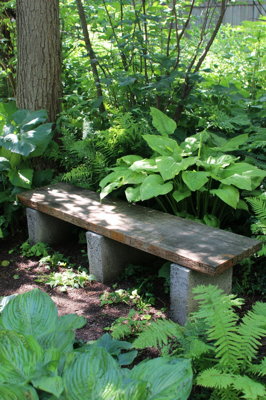 Shade Garden Under Mature Trees