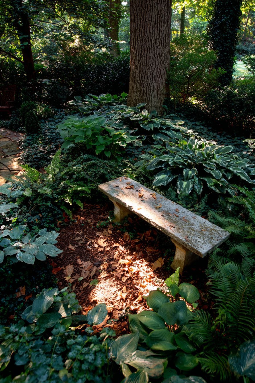 Shade Garden Under Mature Trees