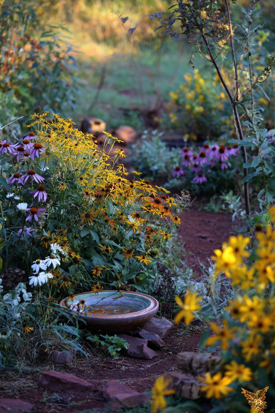 Native Pollinator Garden