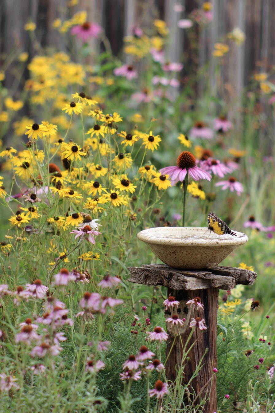 Native Pollinator Garden