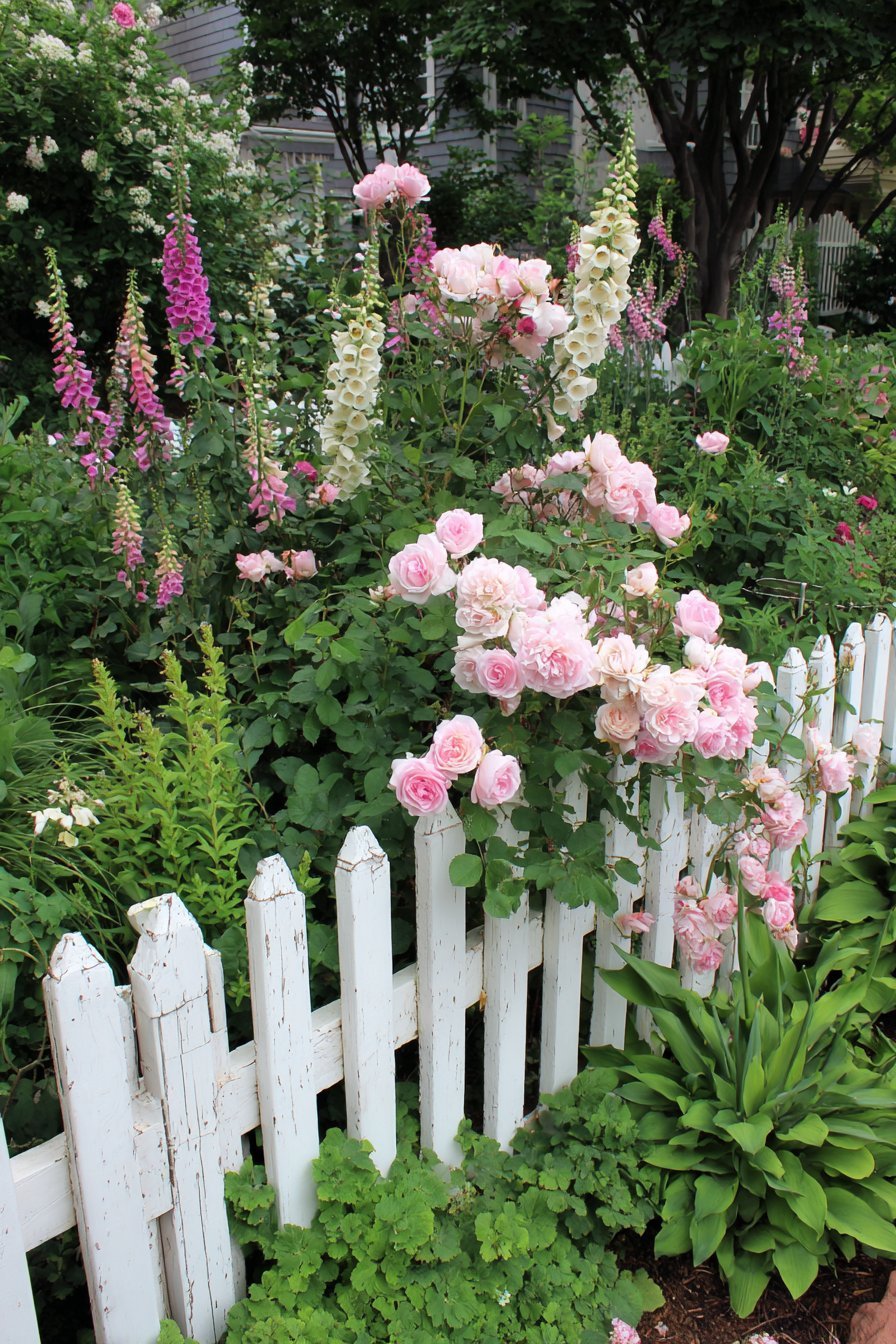 Classic Picket Fence Border