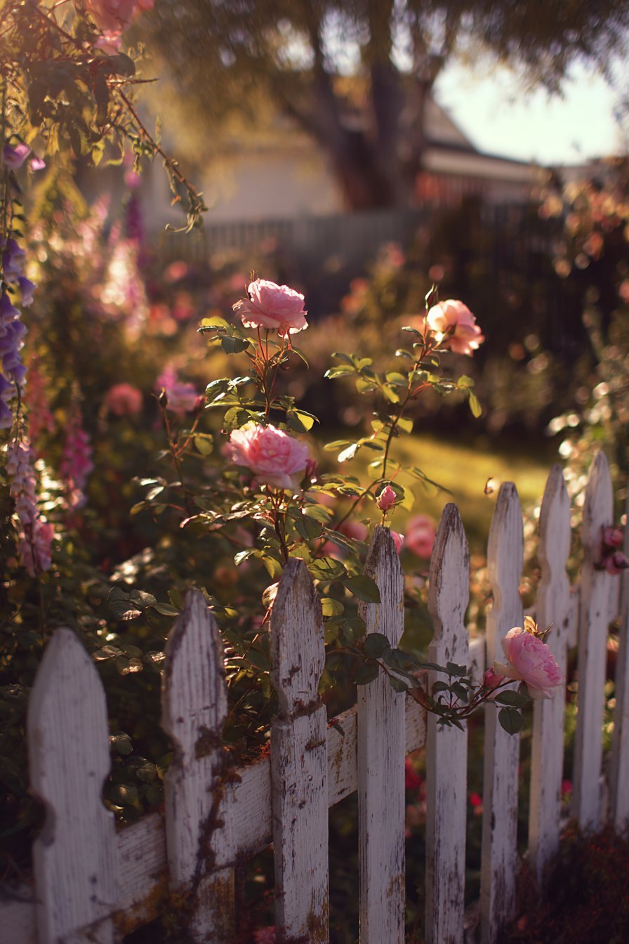 Classic Picket Fence Border