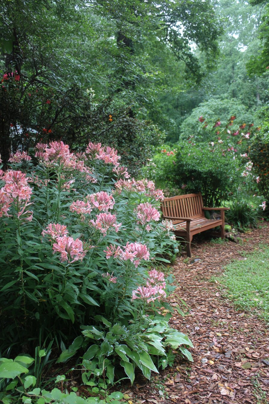 Nature Observation and Educational Garden