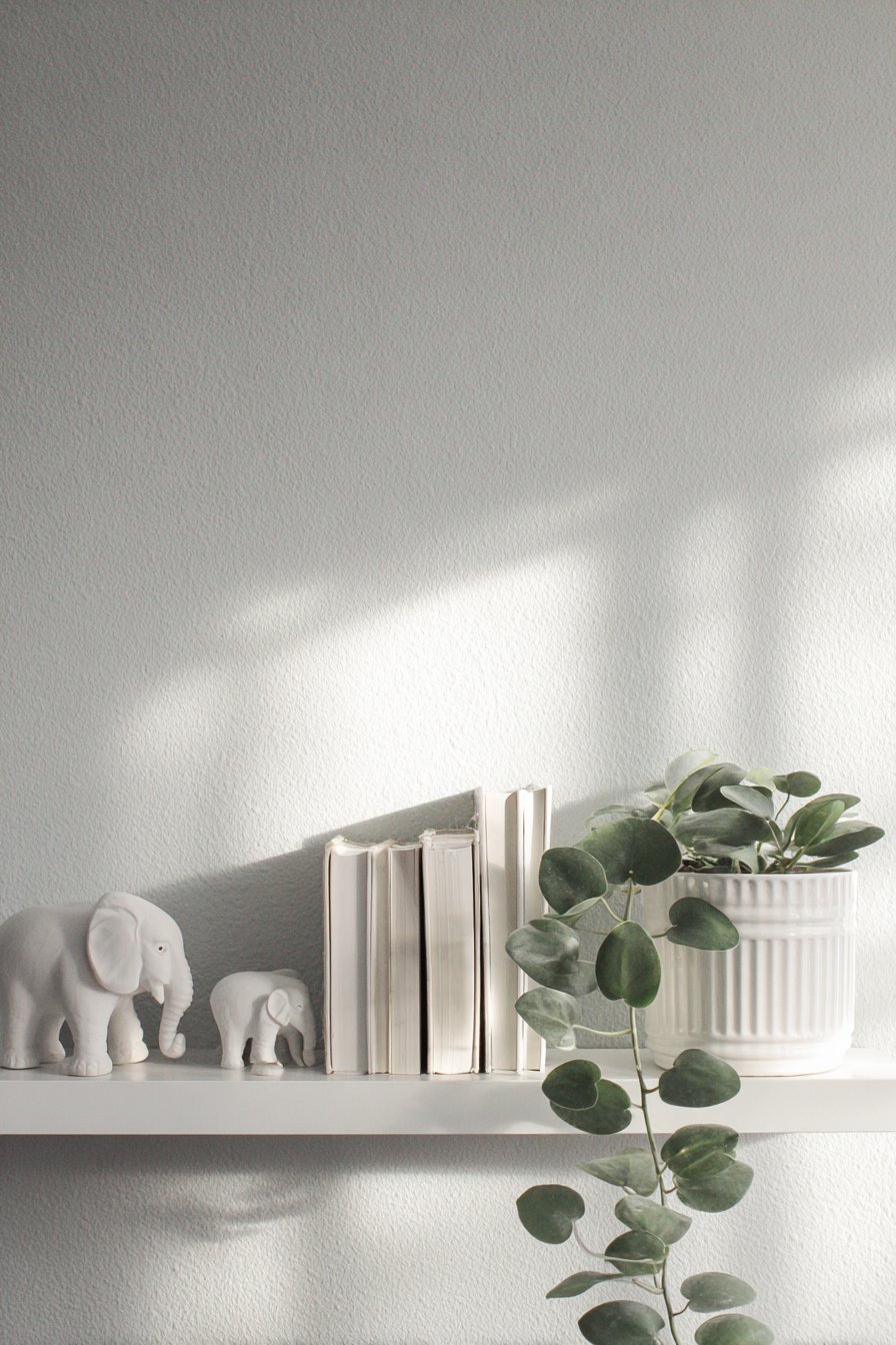 Minimalist Light Birch Floating Shelves