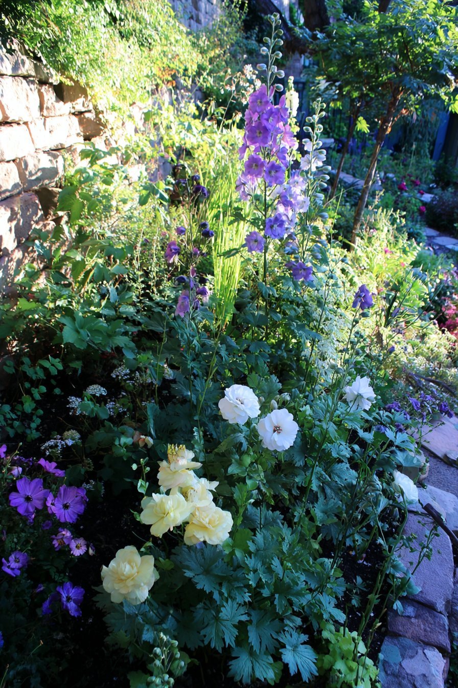 Layered Perennial Border