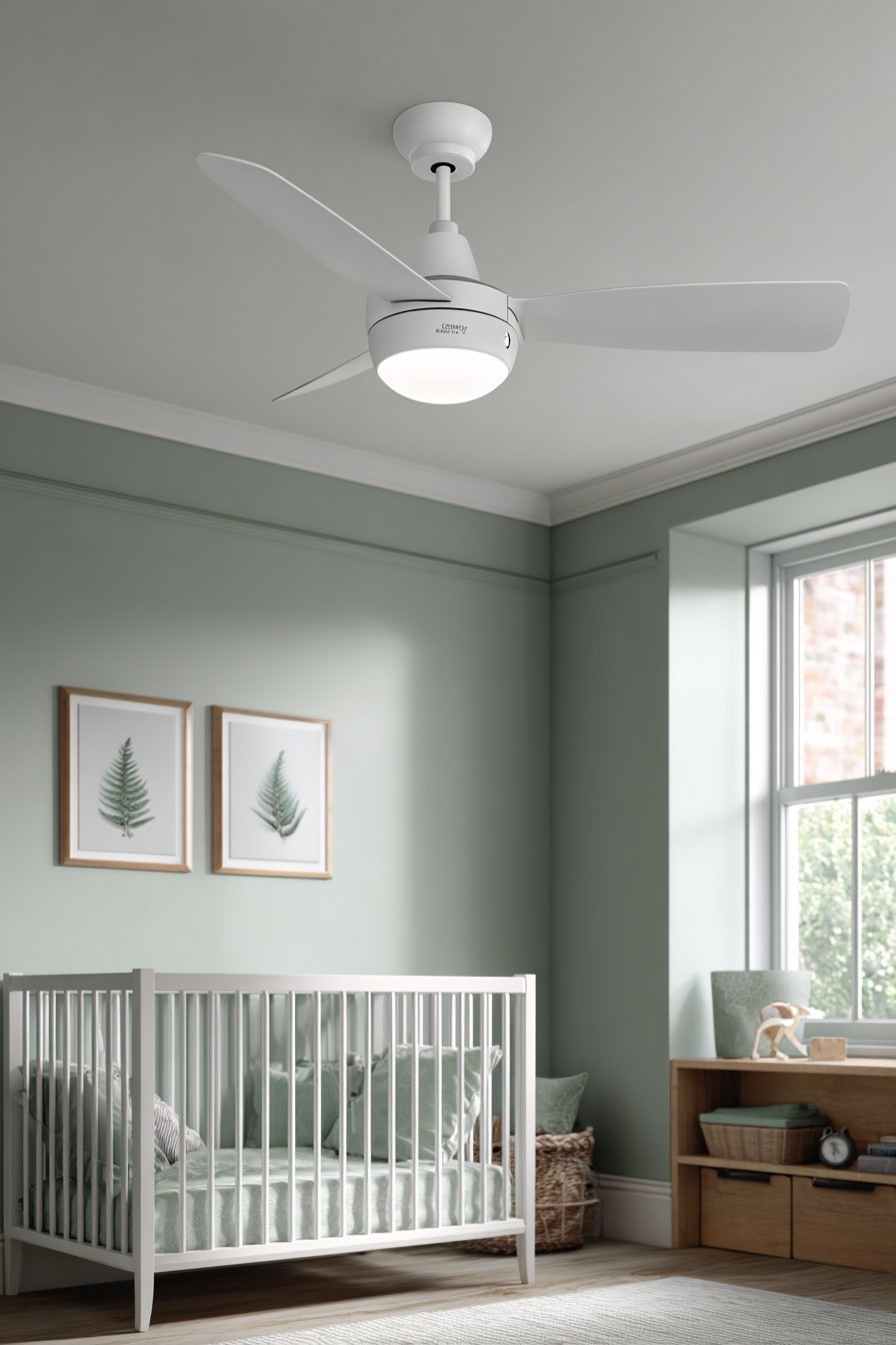 Practical Cool Green Circulation Space