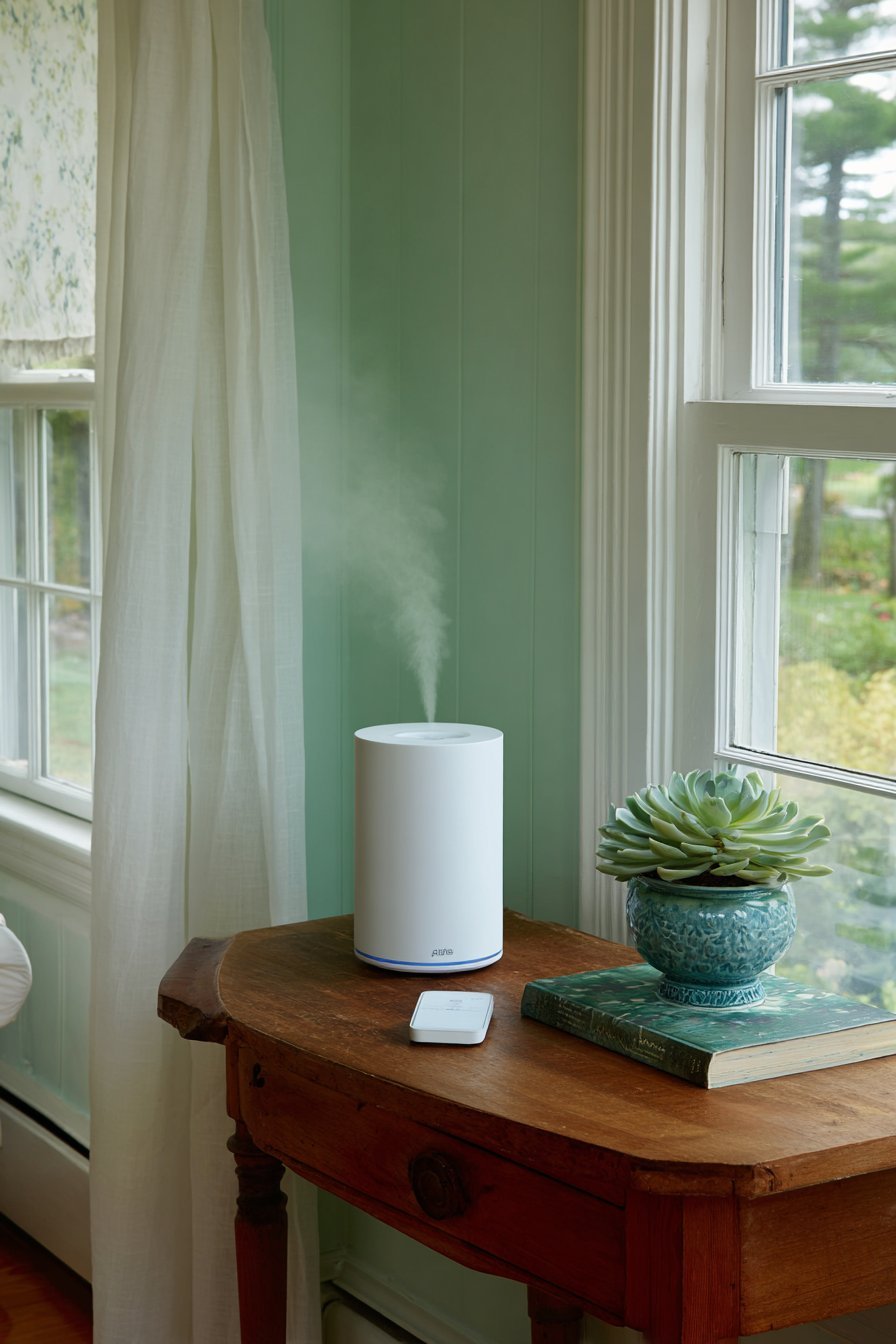 Health-Conscious Dusty Sage Setup