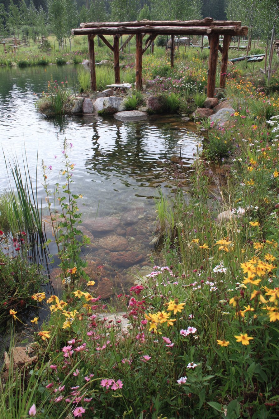 Sustainable Natural Swimming Pool
