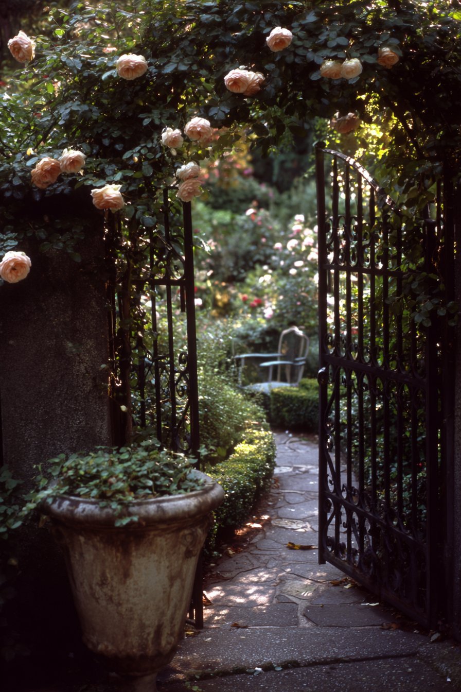 Rose-Covered Secret Garden Gate