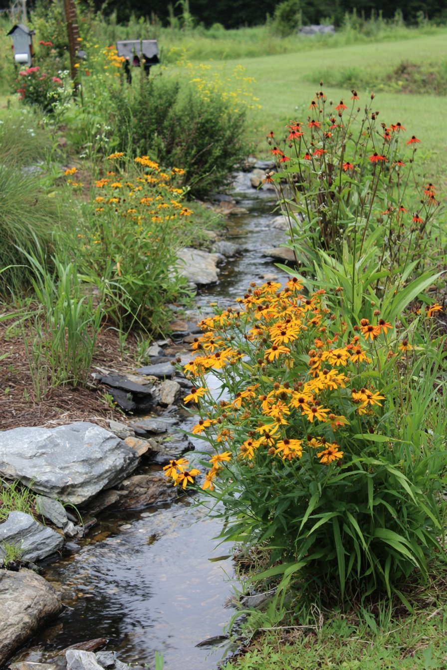 Certified Wildlife Habitat Garden