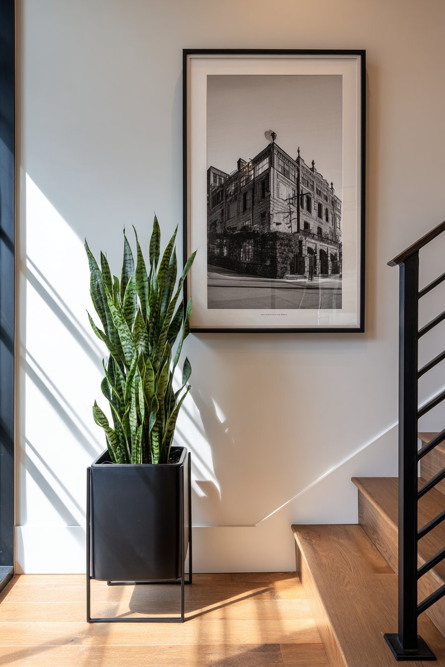 Architectural Photography Focal Point