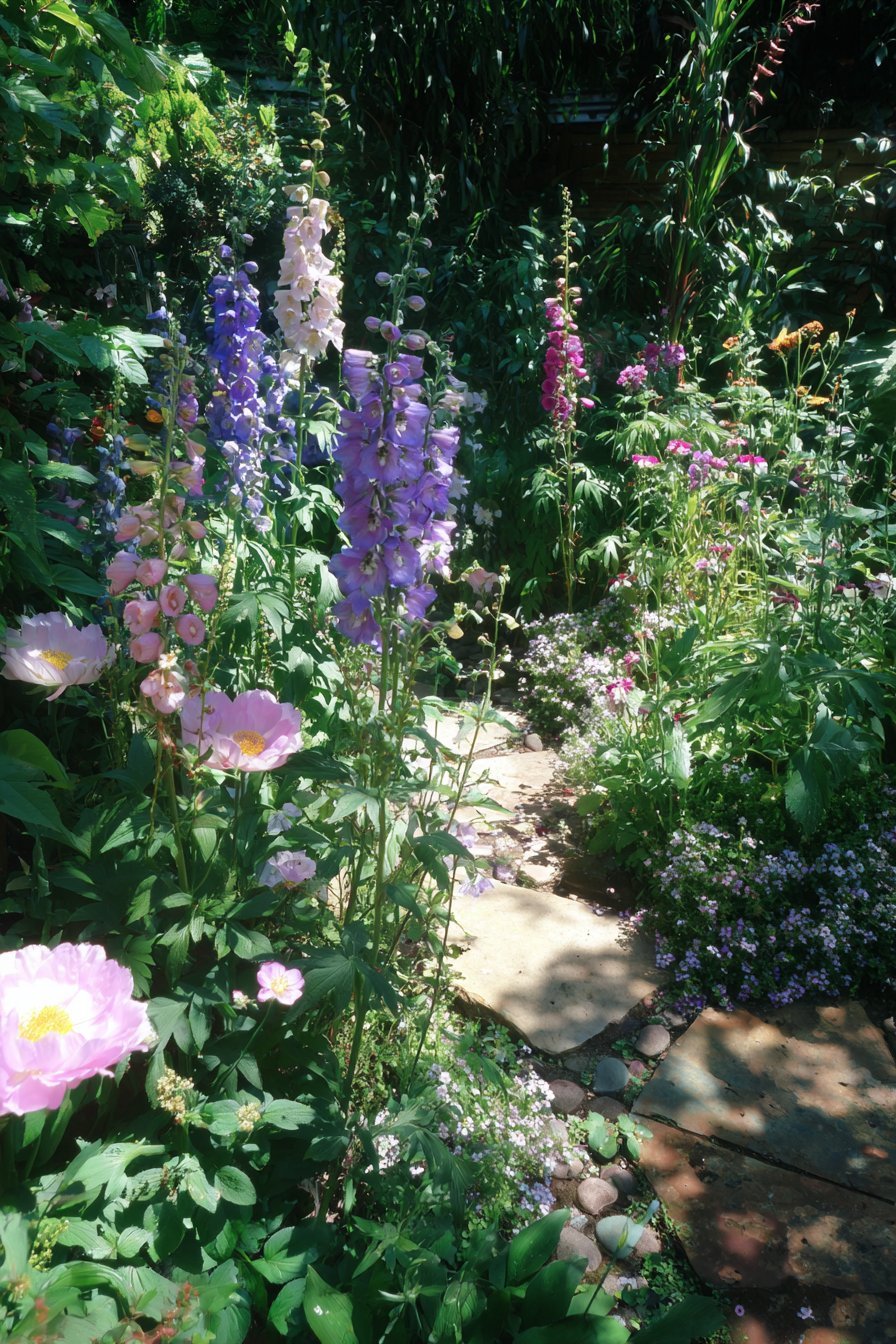 A Wildflower Meadow or Cottage Flower Border