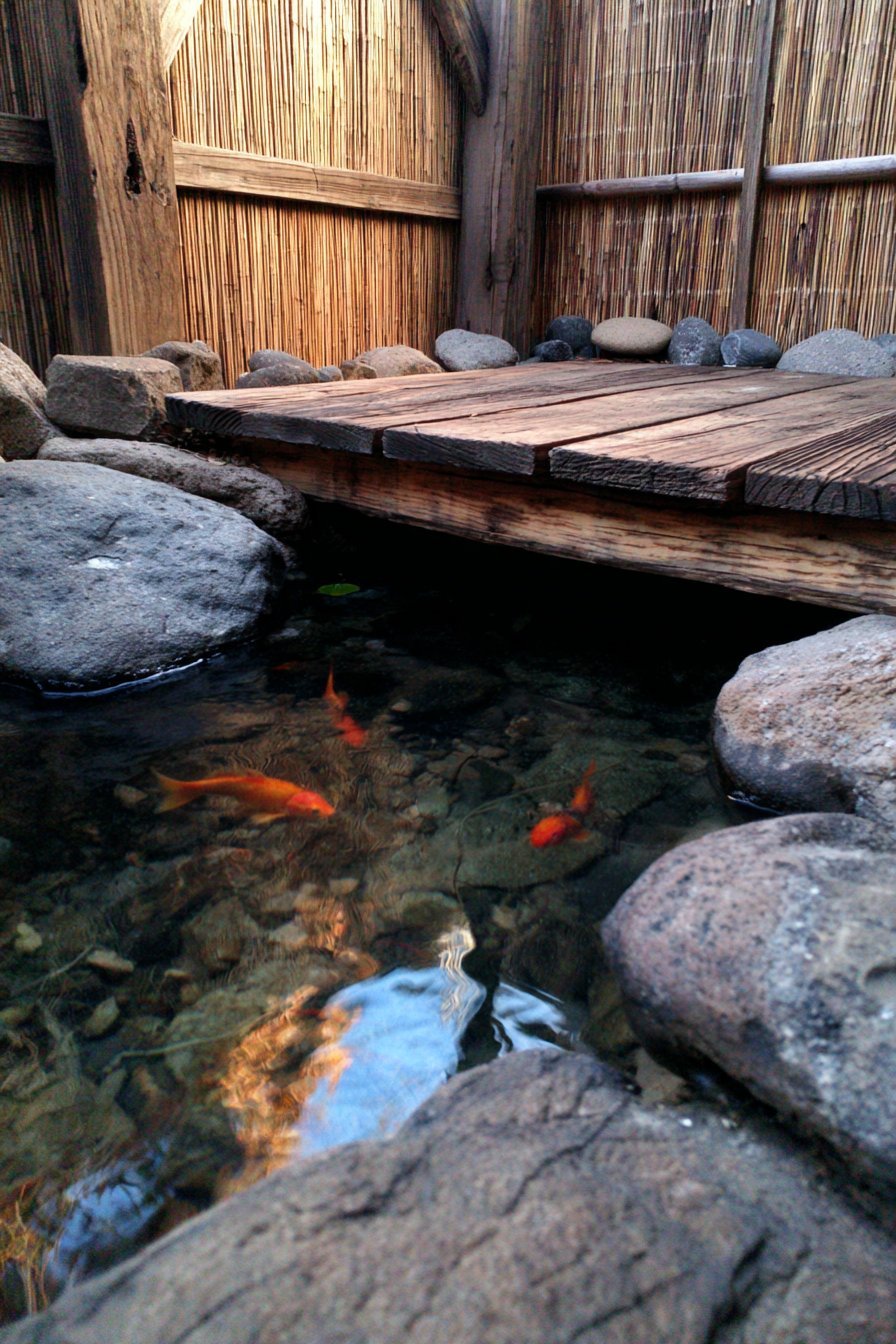 Wooden Platform Overlooking Koi Pond